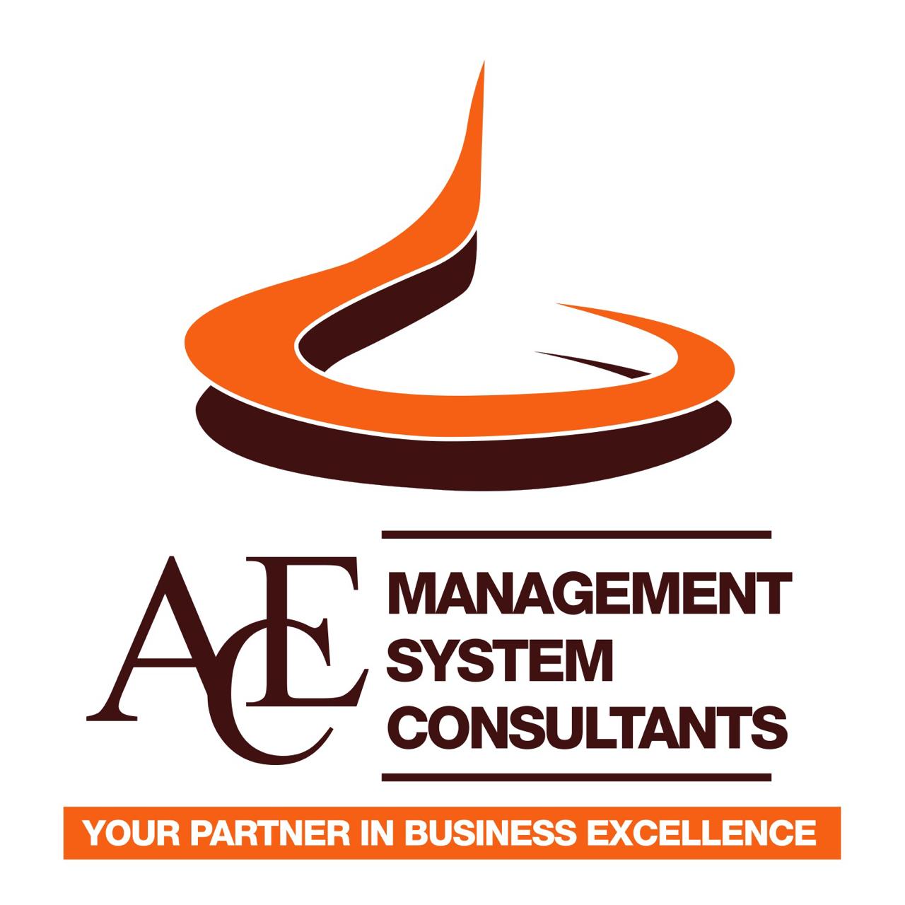 Ace Management System Consultants