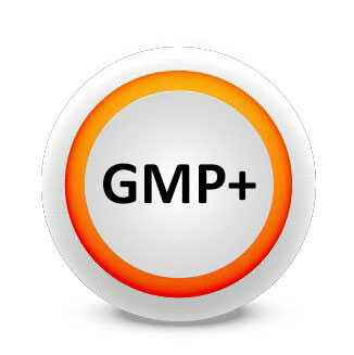 gmp+